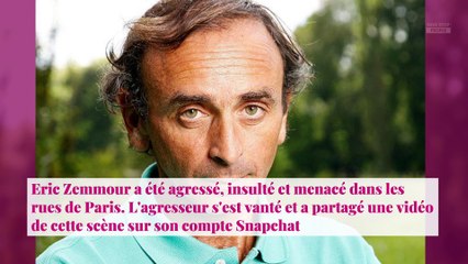 Eric Zemmour agressé : Eric Naulleau vole à son secours