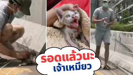 ชื่นชม ! โย่ง อาร์มแชร์ ช่วยลูกแมวตัวน้อยข้างถนน เกือบไม่รอดแล้วเจ้าเหมียวน้อย