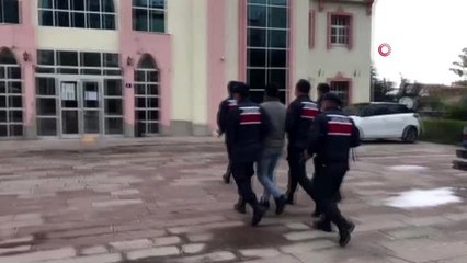 Yavru eşeği kangal köpeklerine parçalatan şahıs yakalandı