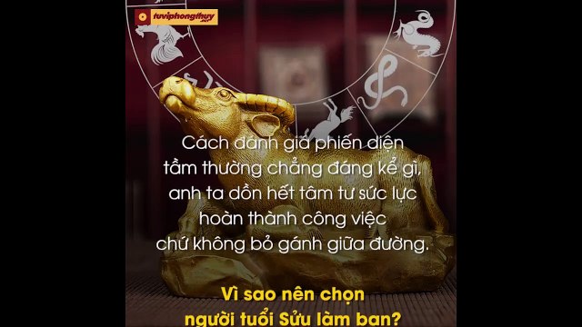 Vì sao nên chọn Người tuổi Sửu làm bạn