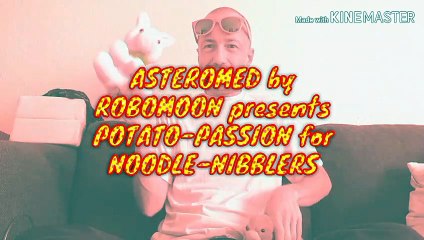 POTATO-PASSION 4 NOODLE-NIBBLERS