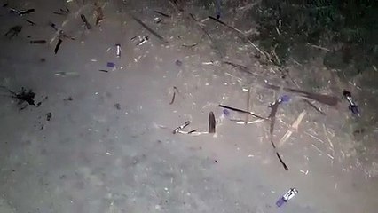 रालोद उपाध्यक्ष जयंत चौधरी ने व्यवस्था पर उठाए सवाल