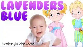 LAVENDERS BLUE LULLABIES Lullaby for Babies To Go To Sleep Baby Lullaby Baby Songs Go To Sleep