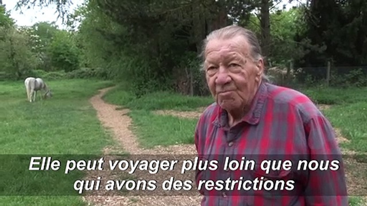 Coronavirus: Jenny la jument, un remède de cheval à la déprime du confinement