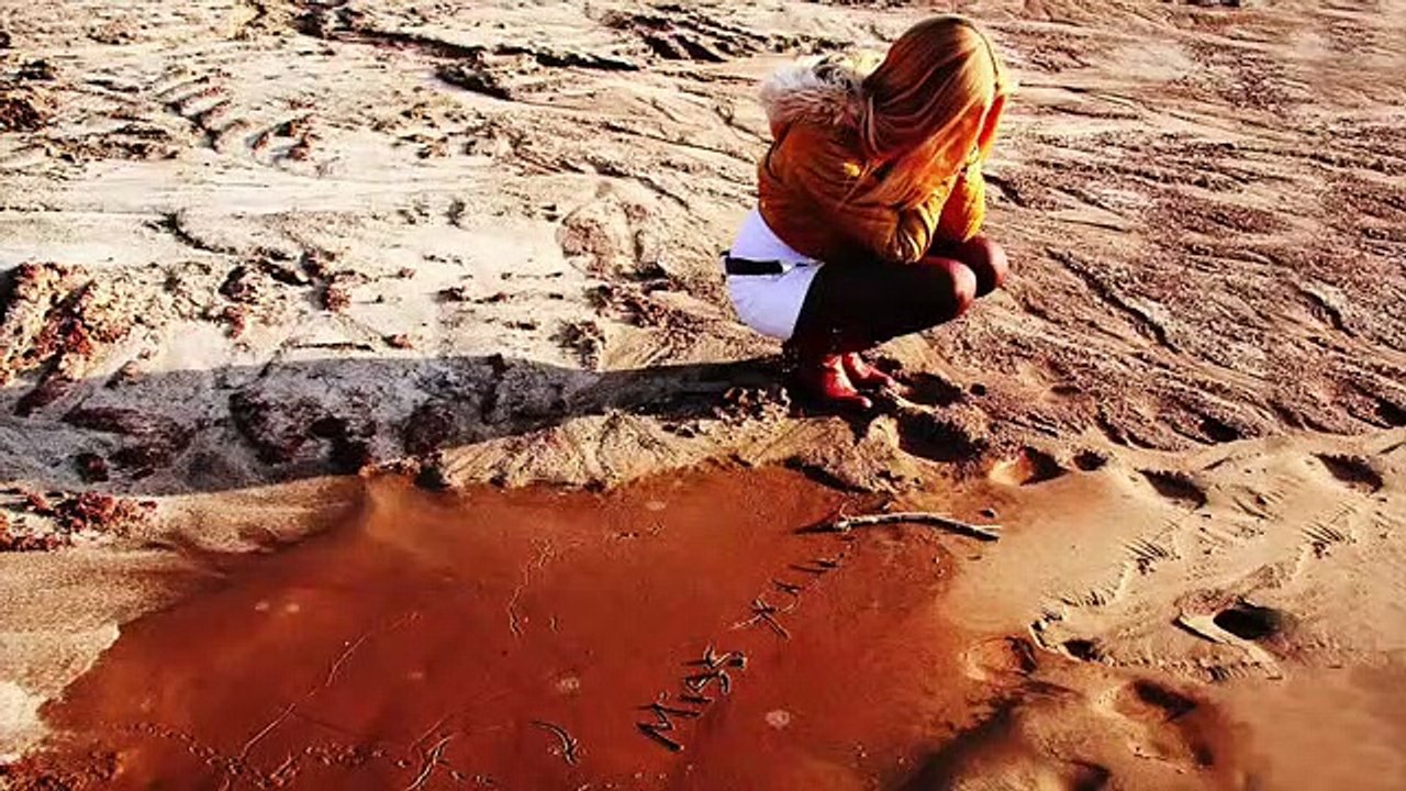 Get your EX back with Brad Browning The EX Factor guide