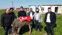 ‘Biz Bize Yeteriz Türkiyem’ Kampanyasına Büyükbaş Hayvanını Bağışladı