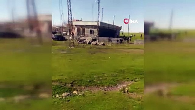 Jandarmayı Karşılarında Gören Gençler Nereye Kaçacağını Şaşırdı