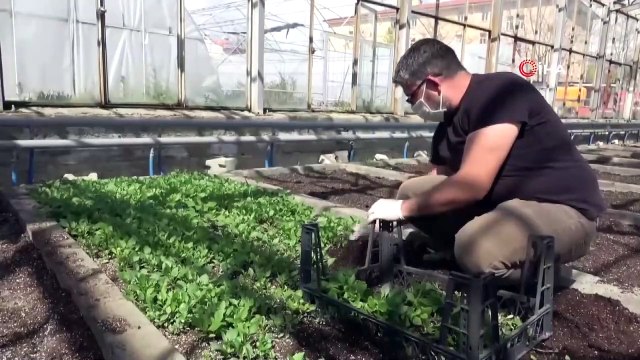 Erzincan’da Binlerce Çiçek Toprakla Buluşturulacak
