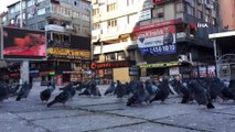 Sokağa Çıkma Kısıtlamasında Polis, Aç Kalan Güvercinleri Elleriyle Besledi