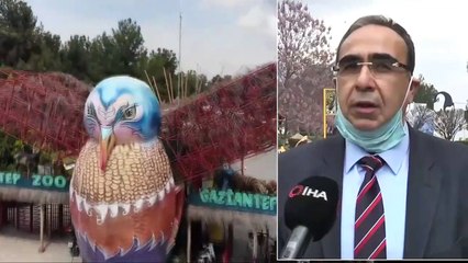 Kaplan Nadia Kovid-19 Oldu, Gaziantep Hayvanat Bahçesi'nde Tedbirler Arttırıldı