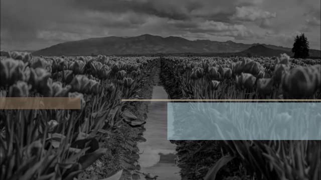 The Plantation Island by : Stayloose