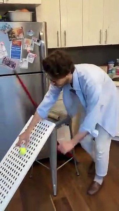 La machine rube-goldberg la plus folle du confinement... enfin presque