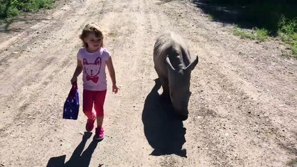 Aller à l'école avec son rhinocéros de compagnie