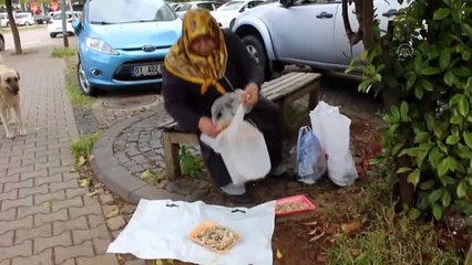 Yetim aylığıyla sokak hayvanlarını besliyor