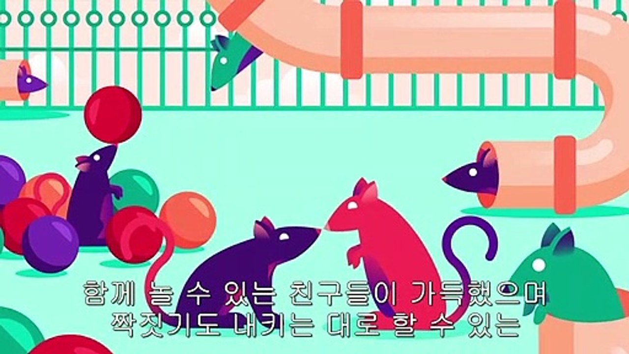 중독(Addiction)에 관한 새로운 이론-환경과 관계에 의존, 단절을 대체하는 해로운 유대와 건강한 유대의 되찾기, 2015 다큐 [CRAMV(D.U.)-18)]