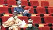 Nigerian Senate seeks establishment of National Technical Committee on COVID-19