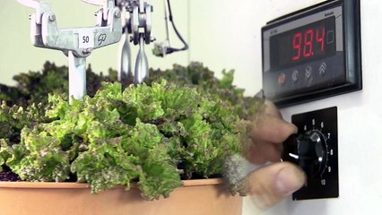 이젠 제자리에 앉아 농사짓는 '스마트 팜' 시대 / YTN