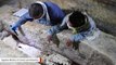 Ancient Burial Chamber Uncovered In Egypt