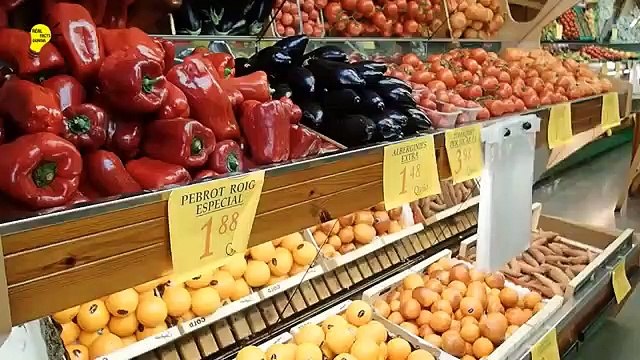 Top 5 Food Factory Machines - Top Food Industry Machines