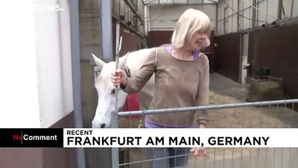 Un caballo sin confinamiento