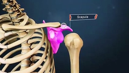 Arthritis and its cures