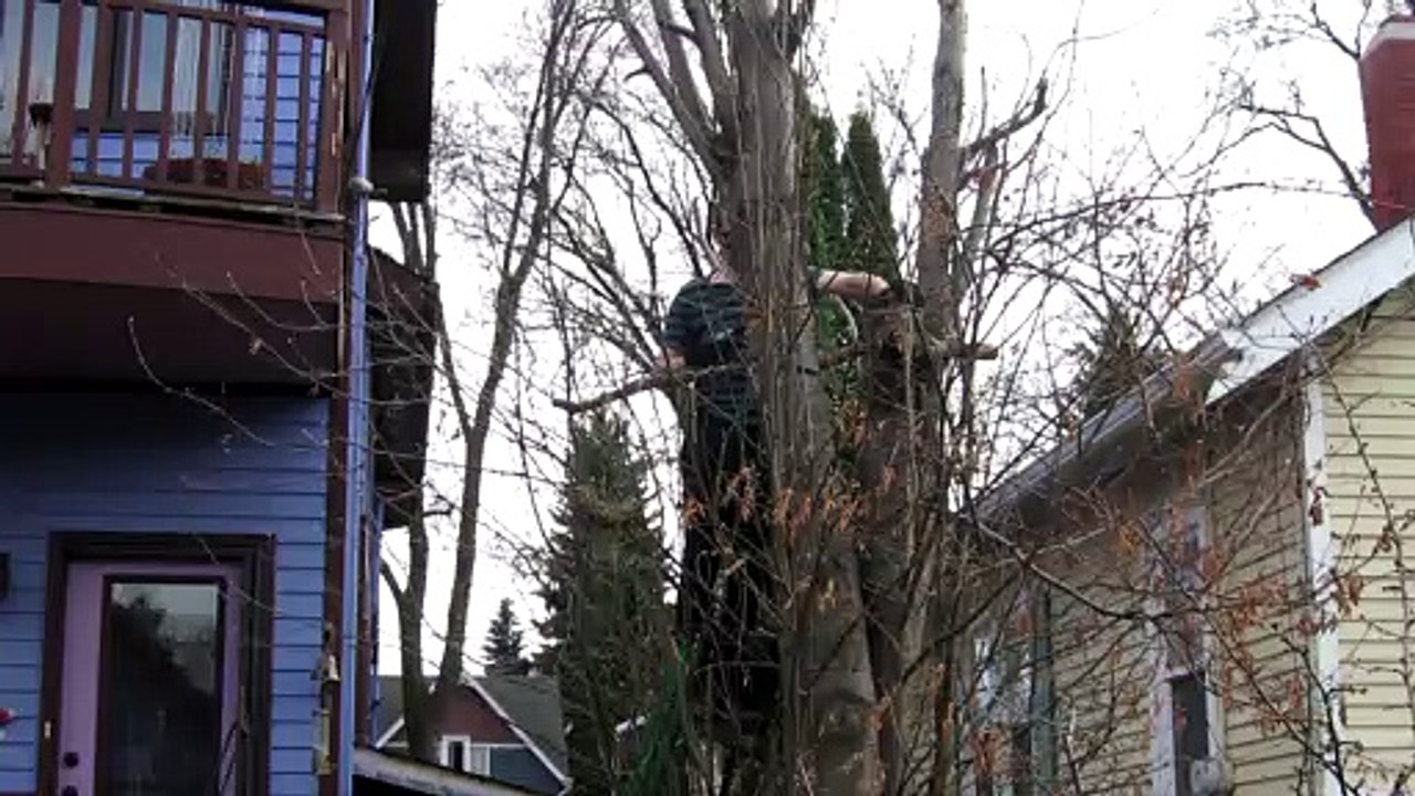 MVI_1587