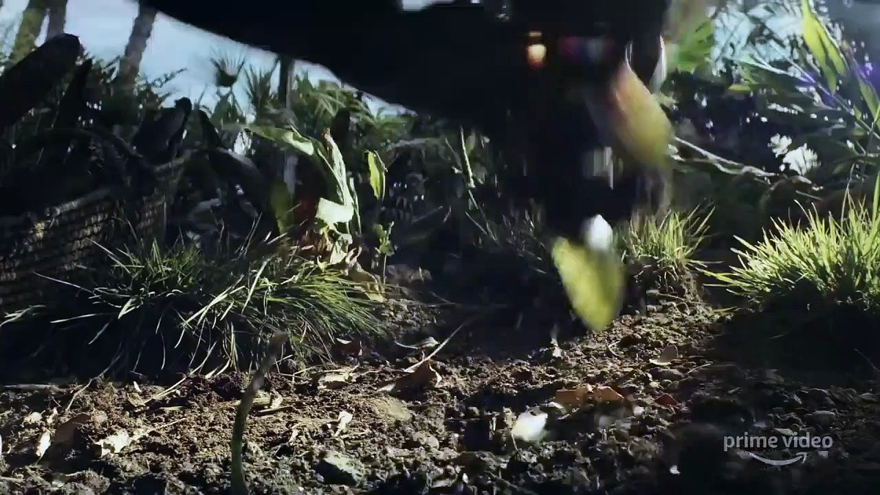 HOMECOMING | Trailer – New Mystery on Prime Video May 22, 2020