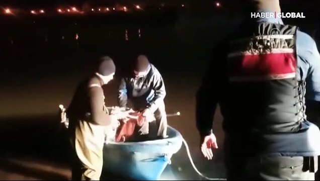 Kaçak avlanan 10 ton inci kefali suya bırakıldı: İnci kefalinin en büyük düşmanı insanlar