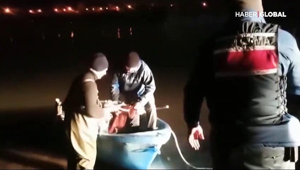 Kaçak avlanan 10 ton inci kefali suya bırakıldı: İnci kefalinin en büyük düşmanı insanlar