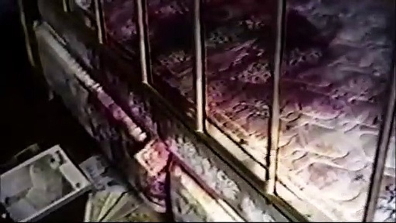 I'll Be Gone In the Dark (2020): Official Teaser | HBO