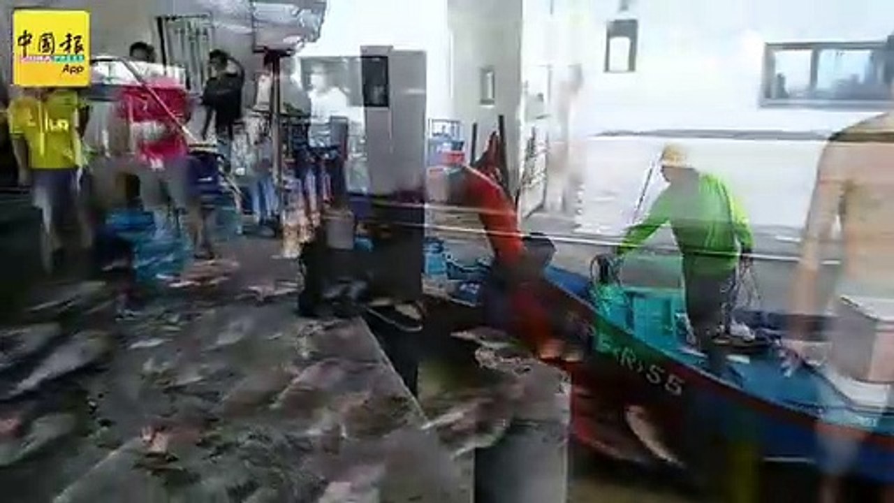 ◤行动管制◢ 高渊港口三码头重开首日 人潮减70% 买卖方式待改善