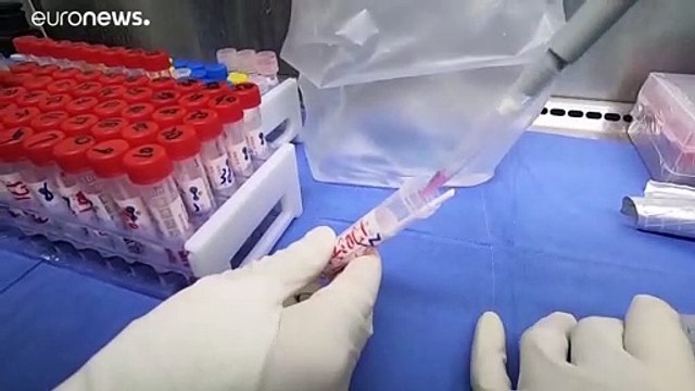 Госсекретарь США: Китай сознательно дезинформировал Запад