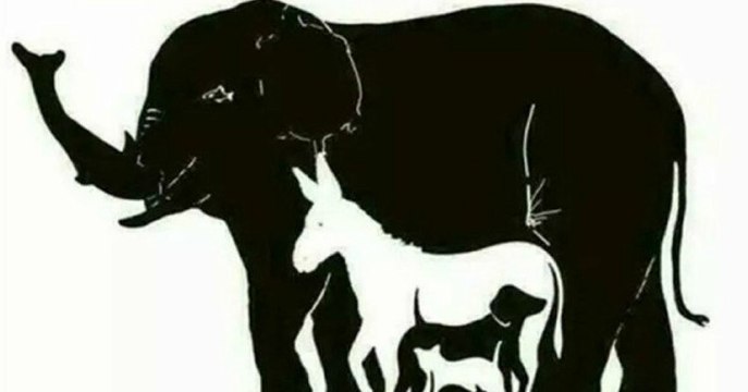 Combien y a-t-il d'animaux cachés sur ce dessin... Certains sont introuvables