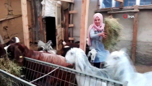 Borç Para İle Keçi Üretimine Başladı, Bir Yılda Dörde Katladı