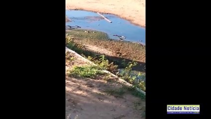 Assista ao programa Cidade Notícia desta segunda-feira (04) pela Líder FM de Sousa-PB