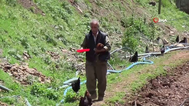 SYDV'den aldığı 2 bin lira ile tavuk aldı, organik yumurta satarak ailesini geçindirmeye başladı