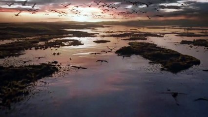 Trailer đầu tiên của Vua Sư Tử bản remake vừa tung ra cực hoành tráng, bộ phim đáng chờ đợi năm 2019