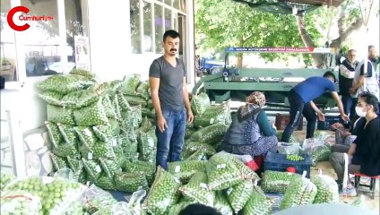 Mersin Büyükşehir’den tarım dostu proje