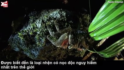 nhiều giờ rồi chết trong tức tưởi