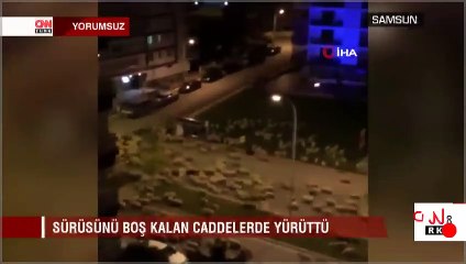 Samsun'da koyun sürüsü, caddeyi kapattı