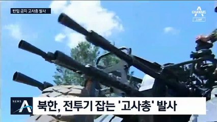 北 총탄, 공개처형 때 사용한 고사총…비무장지대 반입 금지
