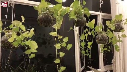 Trường Giang trò chuyện với khán giả Việt kiều