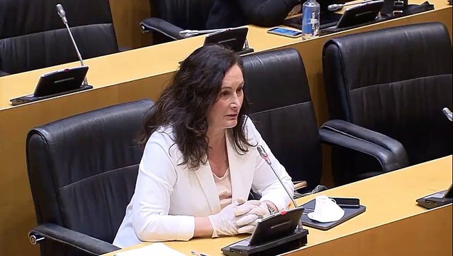 Bochorno en el Congreso: el PSOE deja sin fecha la comparecencia de Tezanos por manipular el CIS