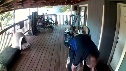 Delivery Driver Greeted by Friendly Dog