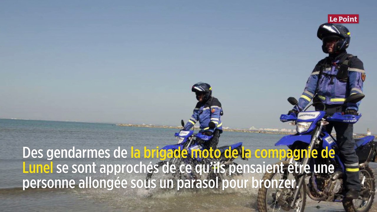 Confinement : des gendarmes trompés par une poupée gonflable