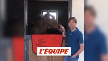 Delestre au secours des centres équestres - Equitation - Coronavirus