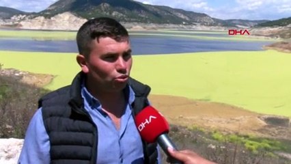 Baraj göletinde tedirgin eden görüntü