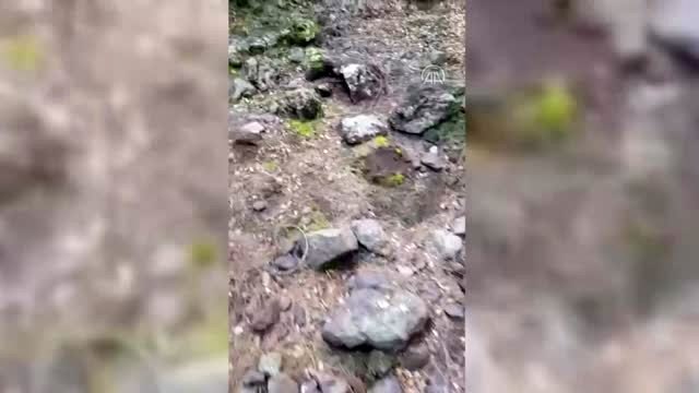 Ormanlık alana Hint keneviri eken şüpheli yakalandı