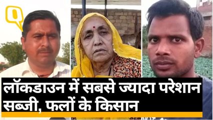 Lockdown: सब्जियां, फल-फूल उपजाने वाले किसान हताश | Quint Hindi