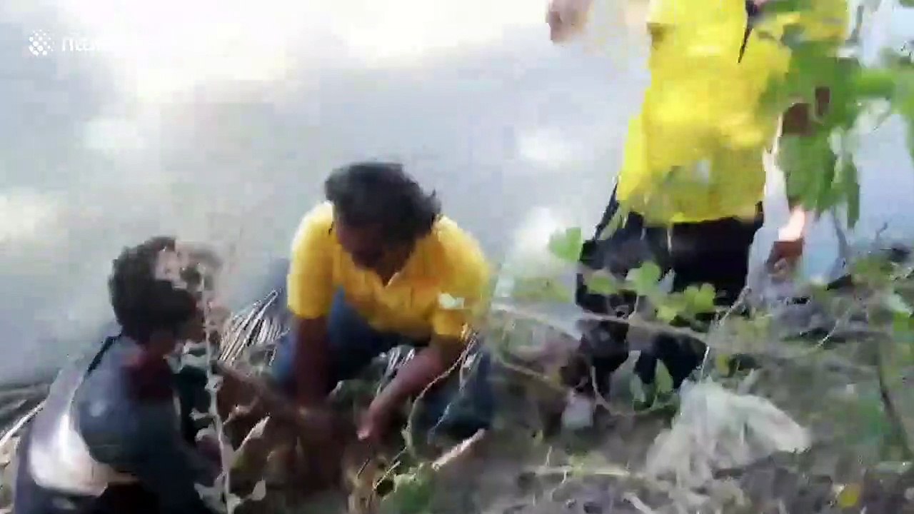Stray dog rescued after spending three days wit...